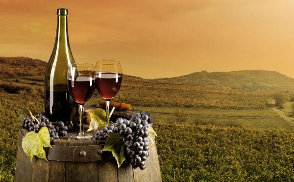 錦江區農業(yè)公司注冊資金多少合適?成都農業(yè)開(kāi)發(fā)公司注冊條件?